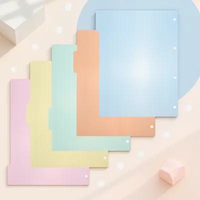 Index Tab Divider - 10 divisórias de plástico multicoloridas para